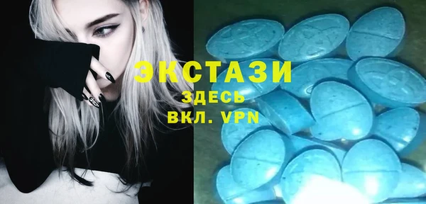 крисы Бикин