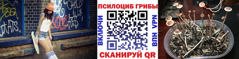 гидра ссылки Дюртюли Псилоцибиновые грибы мухоморы купить